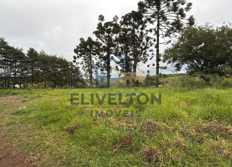 Terreno de 2.000 m² com vista panorâmica em Toledo/MG