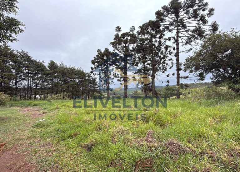 Terreno de 2.000 m² com vista panorâmica em Toledo/MG