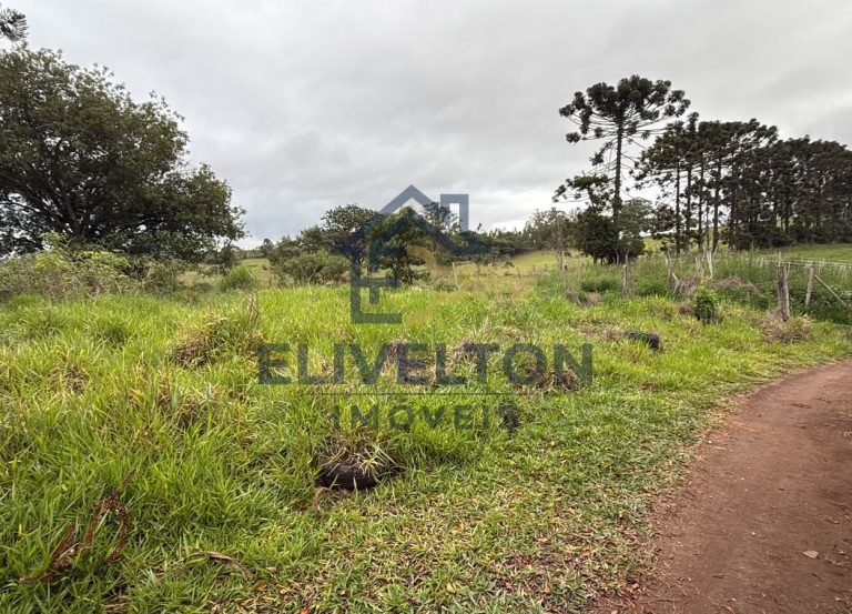 Terreno de 2.000 m² com vista panorâmica em Toledo/MG