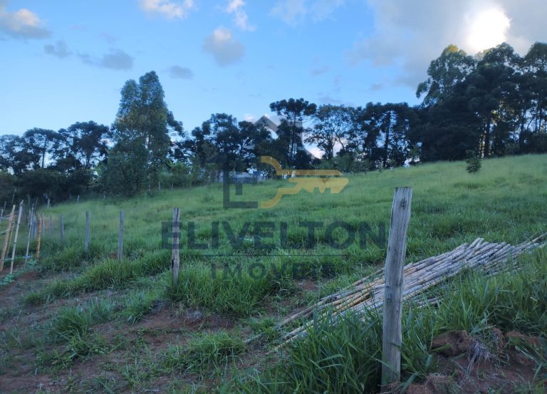 Terreno de 5.000 m² no Bairro Furnas