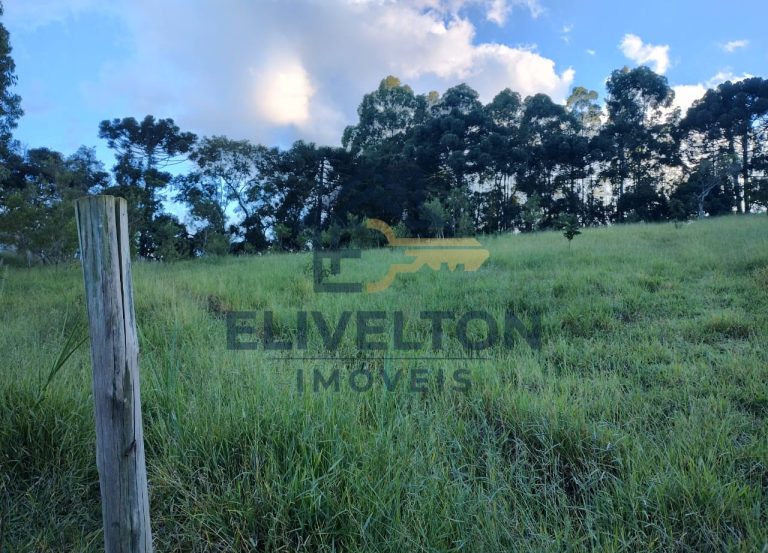 Terreno de 5.000 m² no Bairro Furnas