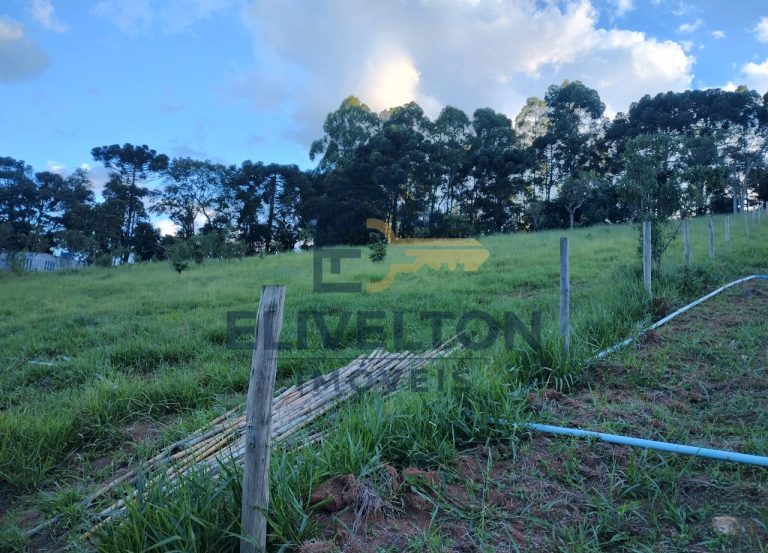 Terreno de 5.000 m² no Bairro Furnas